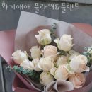 화기애애플라워&플랜트