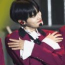 베비우 이미지