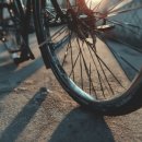 픽시 카카오 검색결과