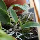 석일농장 이미지