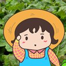 농업회사법인 주식회사 다고