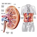 #장대녕 섭취 후기와 섭취방법은 어떻게 되어요?장대녕박사가 누구이길래?