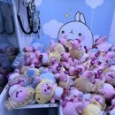 거북이 게임랜드 이미지