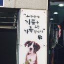 두리동물클리닉 이미지