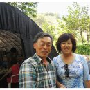 금보농장 이미지