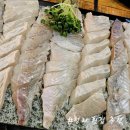낚시꾼김춘복의도시어부(일산식사점) | 청라 횟집 제철 봄도다리회 맛집 낚시꾼김춘복의도시어부