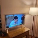 대동호텔 | 제주도 동문시장 호텔 추천 :: 대동호텔 내돈내산 최근 다녀온 후기!