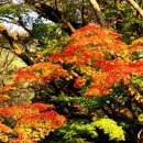 백양사(순천) 이미지