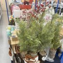 쿱스토어 울산무거점 | [내돈내산] 울산 무거 굴화 굿윌스토어 쇼핑 후기