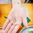 신진그린 이미지