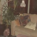 로렌이랑 도도네집 이미지