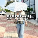 햇빛도 비도 걱정 없는 솔리브 양우산 사용 후기