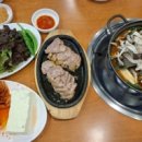 송가네