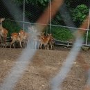 어답산농장 이미지