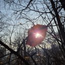 김병호내과의원 이미지