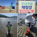 하나개해수욕장 -방갈로 뒤 | [아이랑-인천여행] 아이랑 갯벌 조개캐기 체험: 무의도 하나개해수욕장/ 포내 갯벌체험장