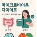 한미마이크로바이옴 | 요요 없는 다이어트 비결! 마이크로바이옴으로 체질부터 바꾸자