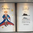 아이러빗 이미지