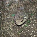 모실농장 이미지