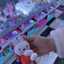 구월동 7-56 ~구월동7-119 | 구월동 숙성회 횟집 리필이 가능하다구? 내돈내산 먹방 정과장횟집