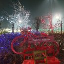 공방 나른한강아지 이미지