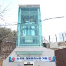 벚꽃로-1 이미지