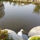 군산대 이삭토스트 이미지