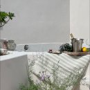 미므미므 이미지