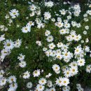 장삼촌 | 공주 가볼만한곳 세계문화유산 마곡사 가을정취 최고!