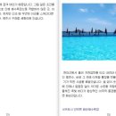 피노엔키오 이미지