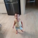 카미(KAMI)코리아 | 반포동 보드게임 모임 후기