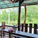 스타비치 이미지