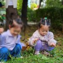 아이나무키즈 | 구리 교문동 어린이집 추천, 0세부터 믿고 보낸 '아이나무어린이집' 찐후기 <활동/특강 편>