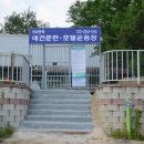 아이앤독 이미지