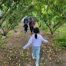 문법농장 이미지