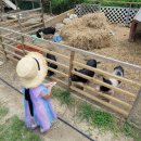 농부의마당맛집 | 포항 아이체험 추천 4살아기와 농부의하루 후기