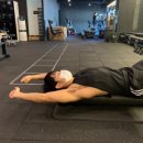 리라 핏 이미지