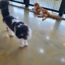 포포앤미루 강동점 이미지