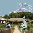 11월 울주시네마＜하울의 움직이는 성＞ | 🌊 여름휴가 추천 총정리, 동해 바다·울주 한 달 살기·영주 여행지원금·영화 할인권까지 한 번에