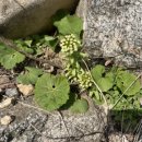 양양별장 이미지