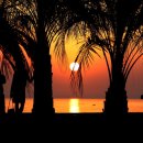 태안반도영농조합법인 이미지