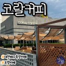 이니(INEE coffee&beer) | 대천해수욕장 카페 < 코랄커피 > 대천카페 보령카페 대천맛집 보령맛집 대천해변 대천데이트 보령데이트...