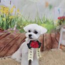 김포24시 힐 동물의료센터 이미지