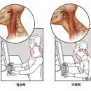 (주)퍼스트웰니스 이미지