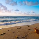 단전호흡 이미지