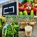 건이농장 | 덕기 : 바나나쉐이크 바나나슈페너 고구마라떼 아이스아메리카노 얼그레이유자케이크 내돈내산 방문 후기