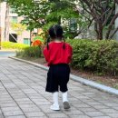 도그루아 이미지