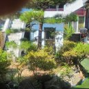 센트럴태양공인중개사사무소 이미지