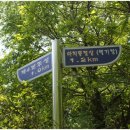 성터경로당 | [20090505]아차산ㆍ용마산 연계산행 後 구리 한강시민공원 유채꽃 감상 - 3
