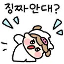 더파티뷰 펜션 이미지